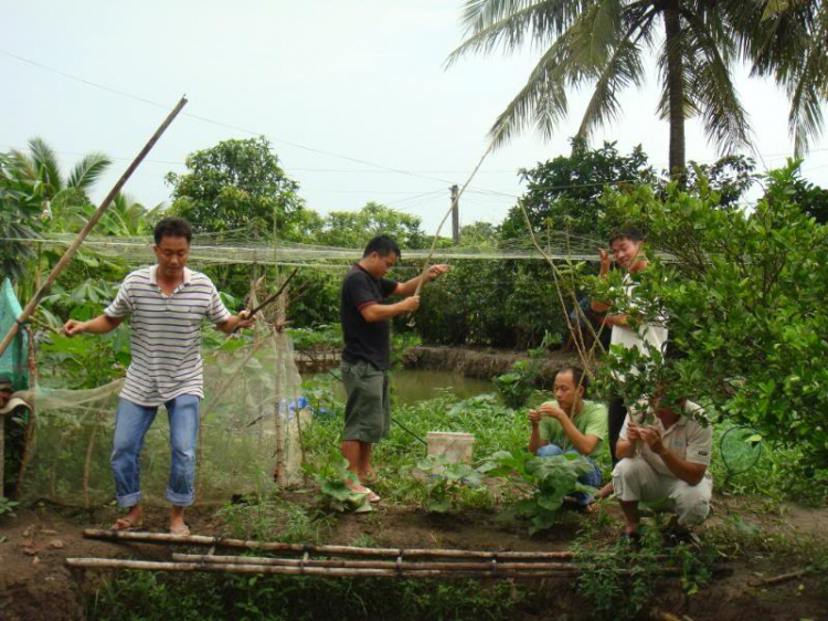 Phóng sự ảnh HFCer tại trang trại MỹTho/Trung Lương 01/05/09