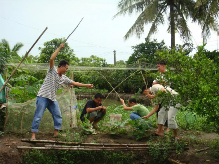 Phóng sự ảnh HFCer tại trang trại MỹTho/Trung Lương 01/05/09