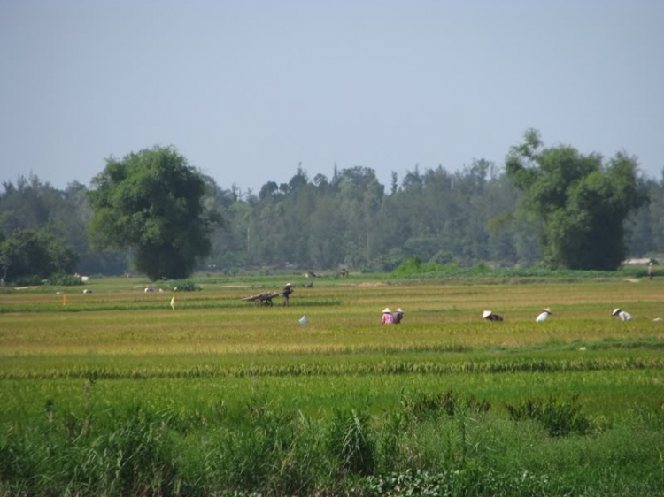 Cuối tuần chụp linh tinh.