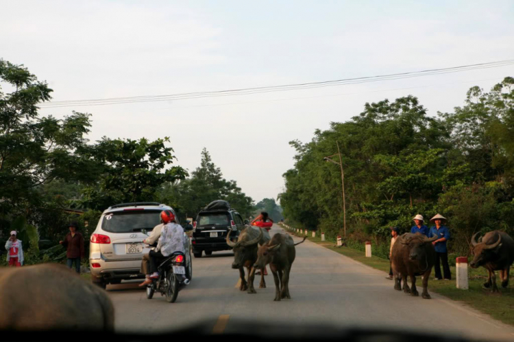 Tường thuật trực tiếp từ Thiên cầm - Update liên tục Tường thuật trực tiếp từ Thiên cầm - Update liên tục