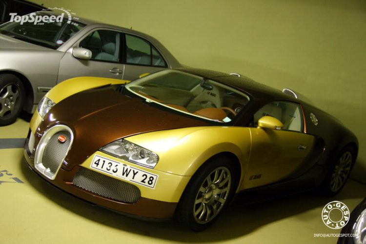 Veyron Golden & Le Mans