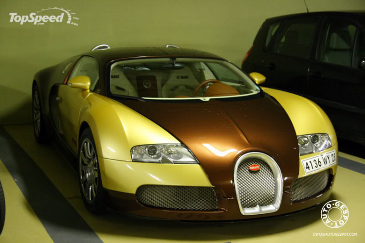 Veyron Golden & Le Mans