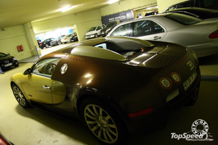 Veyron Golden & Le Mans