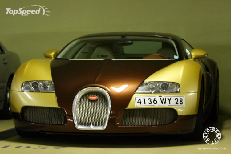 Veyron Golden & Le Mans