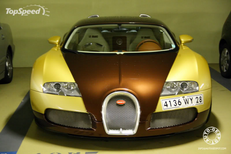 Veyron Golden & Le Mans