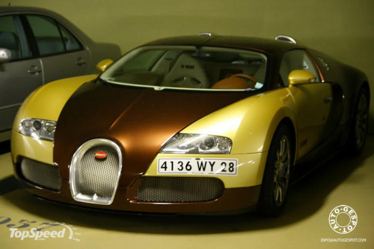 Veyron Golden & Le Mans