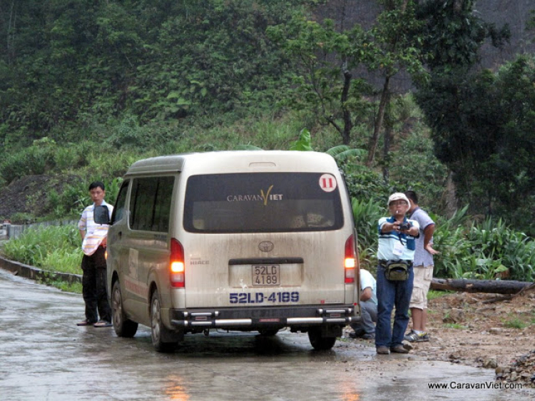 Vài hình ảnh về Trường sơn của Daothoat tháng 5-2009