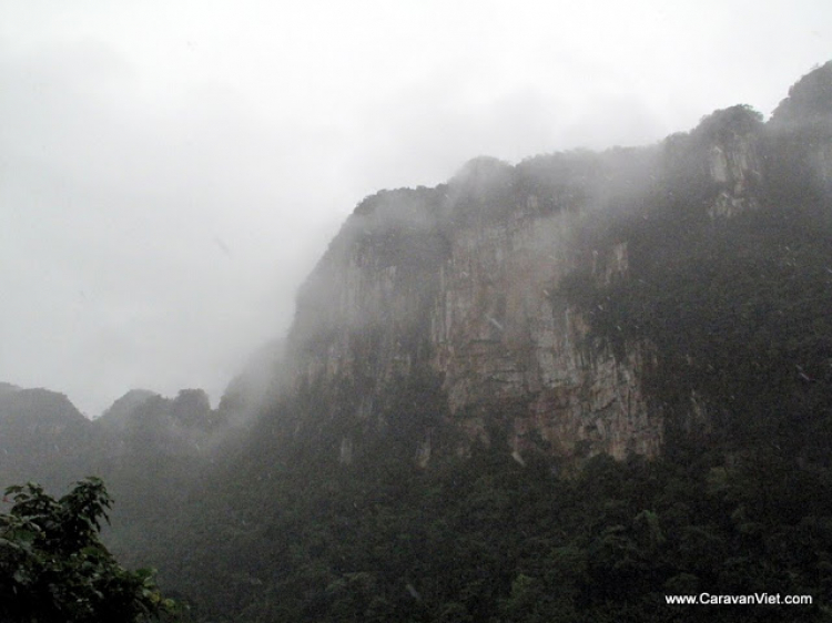 Vài hình ảnh về Trường sơn của Daothoat tháng 5-2009