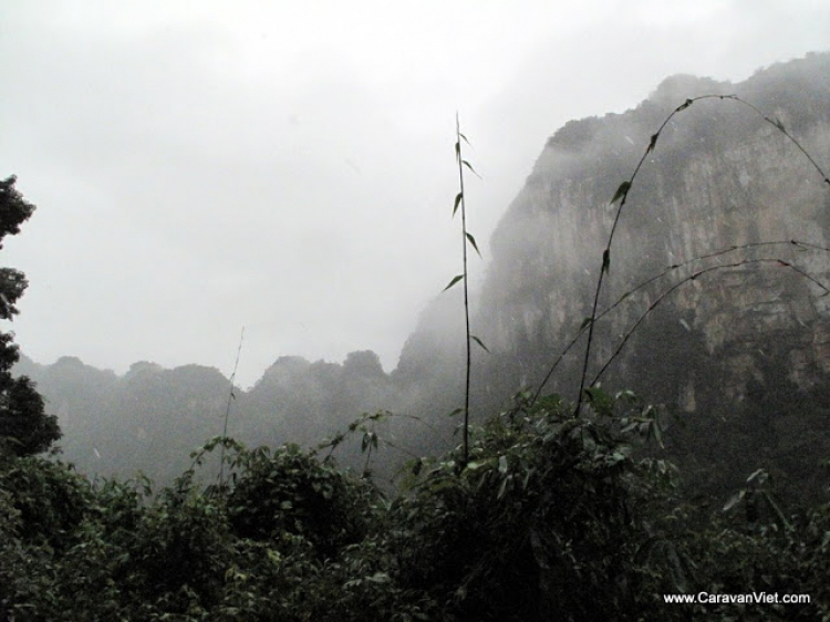 Vài hình ảnh về Trường sơn của Daothoat tháng 5-2009