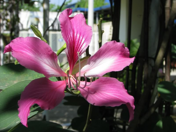Cuối tuần chụp linh tinh. Cuối tuần chụp linh tinh.