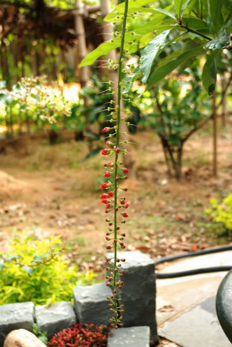 Cuối tuần chụp linh tinh. Cuối tuần chụp linh tinh.