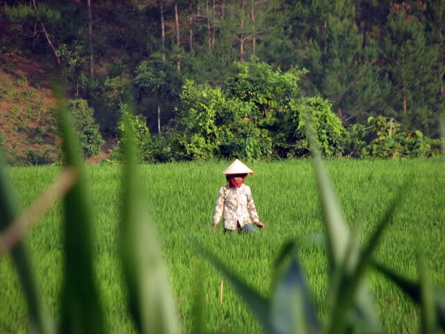 Điện Biên Phủ: "ĐIỂM HẸN LỊCH SỬ"