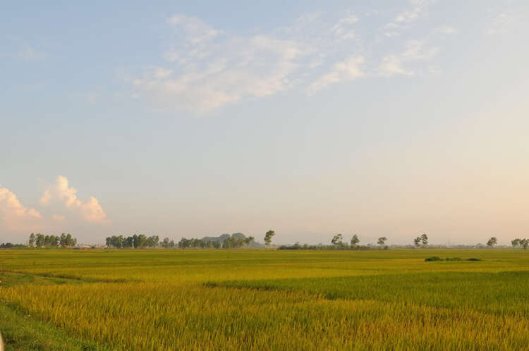 Em lại lang thang