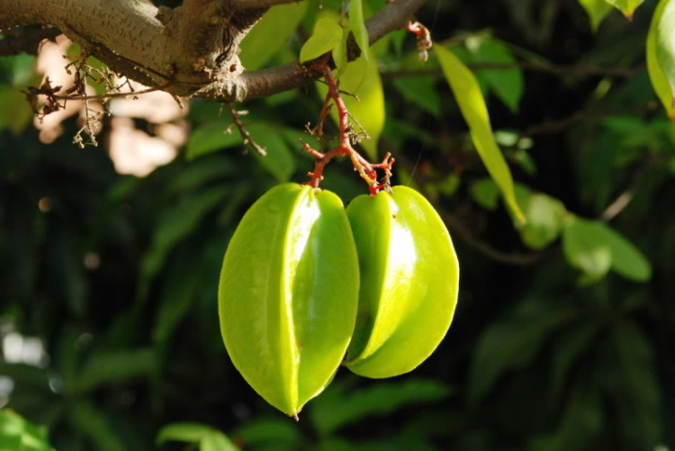 Cuối tuần chụp linh tinh. Cuối tuần chụp linh tinh.