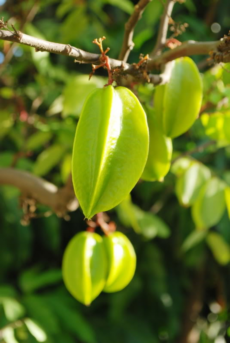 Cuối tuần chụp linh tinh. Cuối tuần chụp linh tinh.