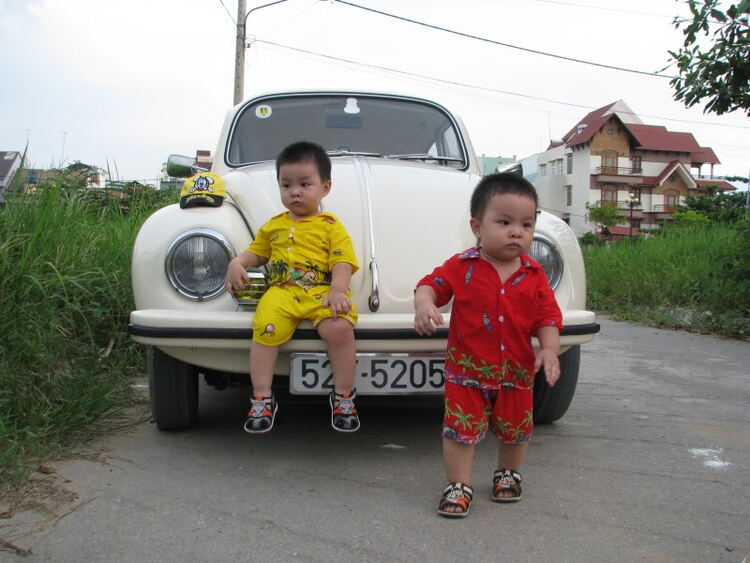 Hành trình tìm lại vẻ đẹp cho em Bọ!!!