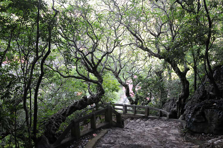 Em lại lang thang Em lại lang thang