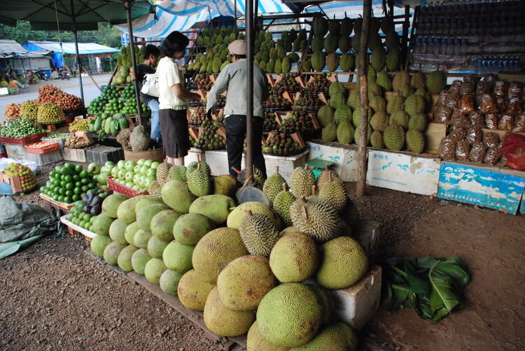 Em lại lang thang