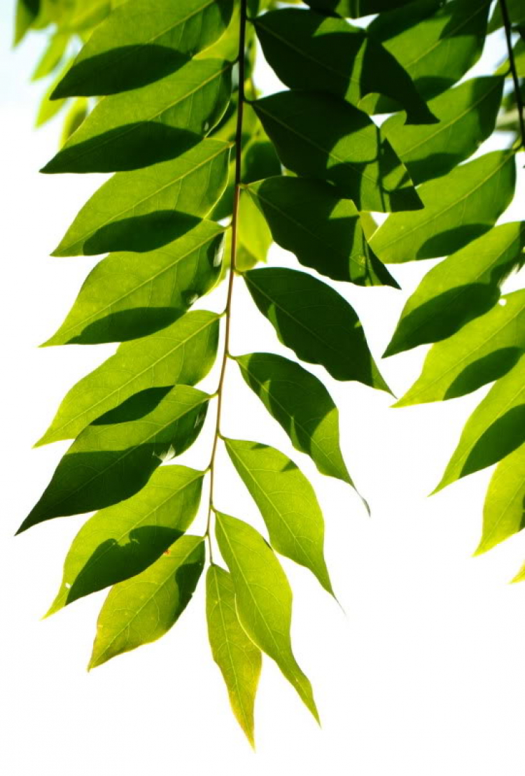Cuối tuần chụp linh tinh. Cuối tuần chụp linh tinh.