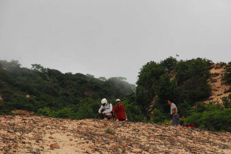 Em lại lang thang