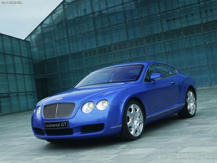 1 em Bentley "kute" in Đà Thành