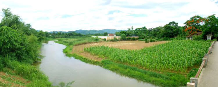 Em lại lang thang Em lại lang thang