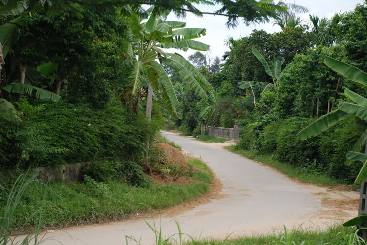 Em lại lang thang Em lại lang thang