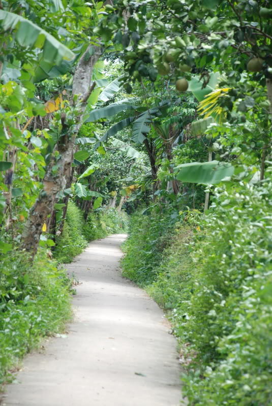 Em lại lang thang