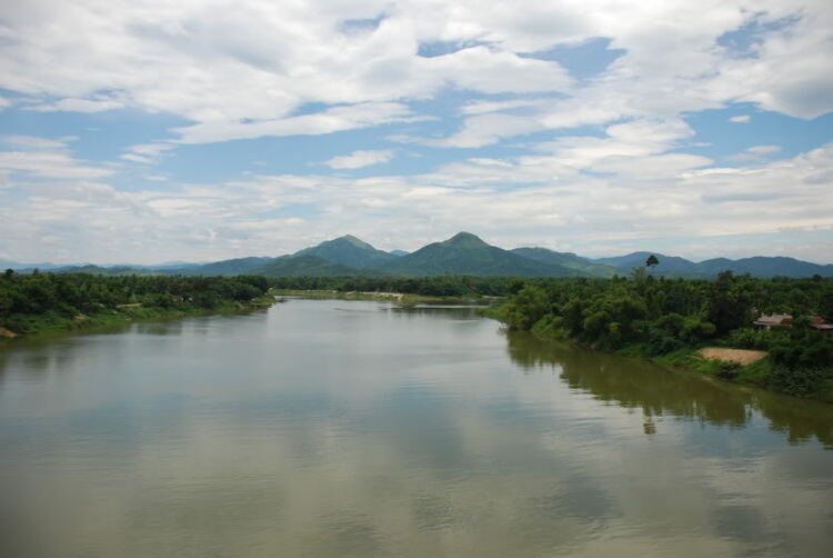 Em lại lang thang