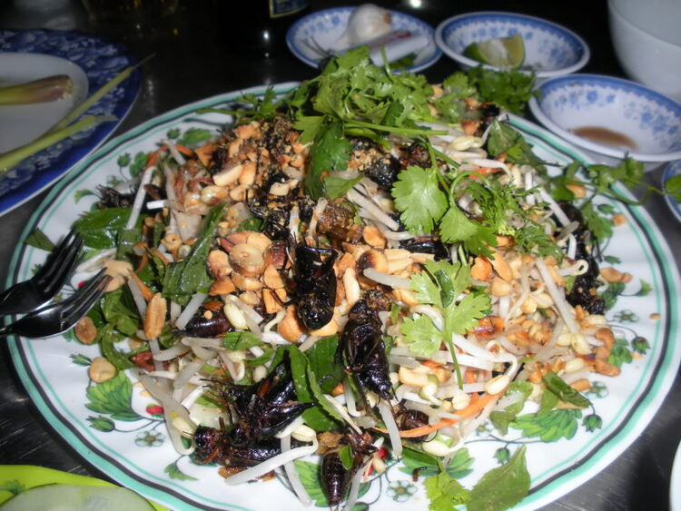 Mời các thành viên OS từ miền Trung vào đây ...