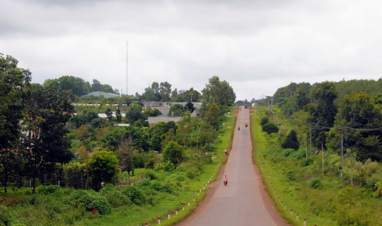 Em lại lang thang