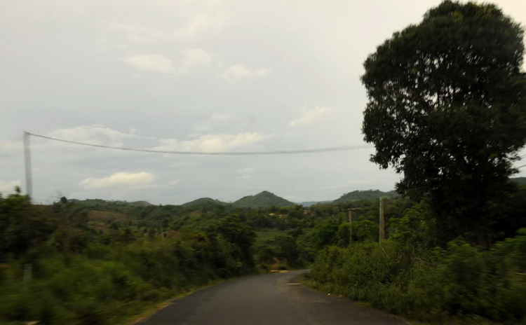 Em lại lang thang Em lại lang thang