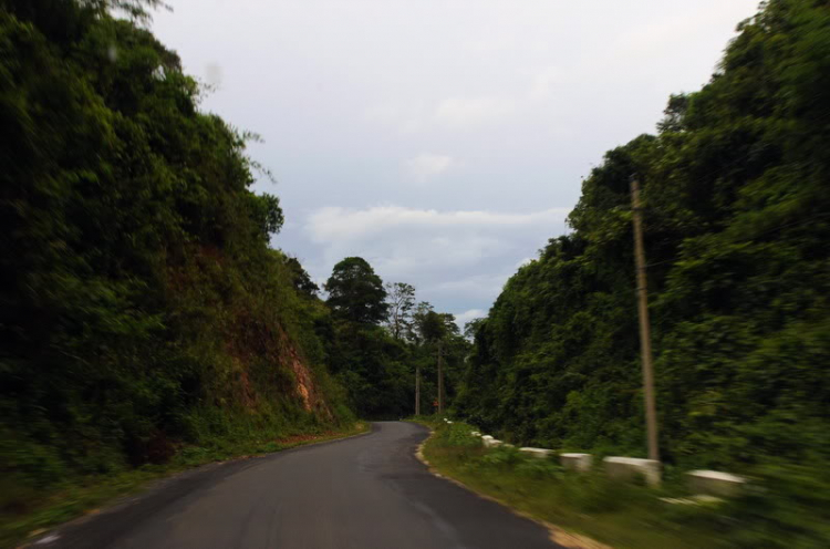 Em lại lang thang Em lại lang thang