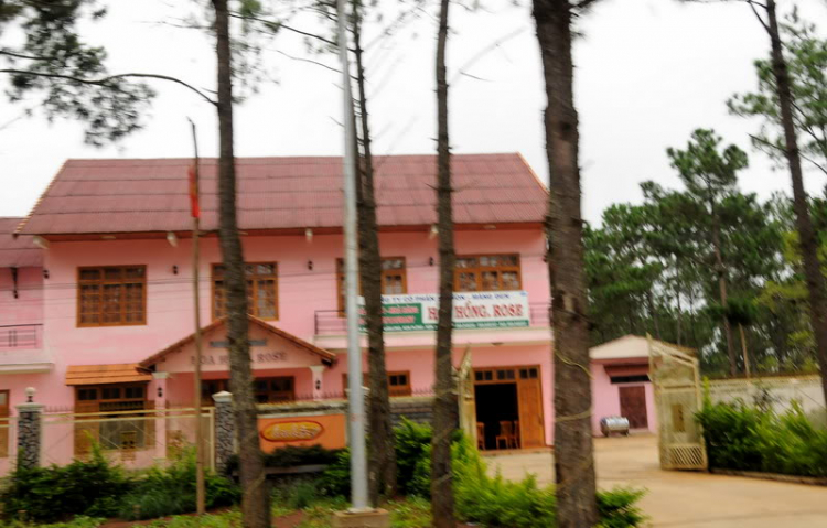Em lại lang thang Em lại lang thang