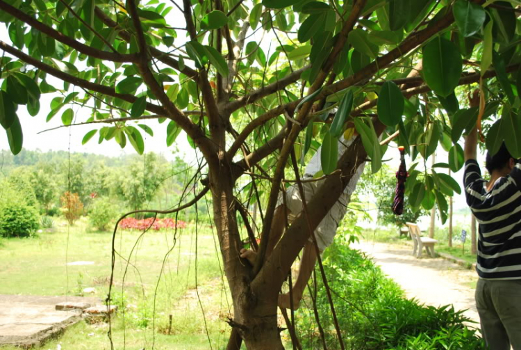 AE Thái Nguyên vào đây ghi danh họp mặt AE Thái Nguyên vào đây ghi danh họp mặt