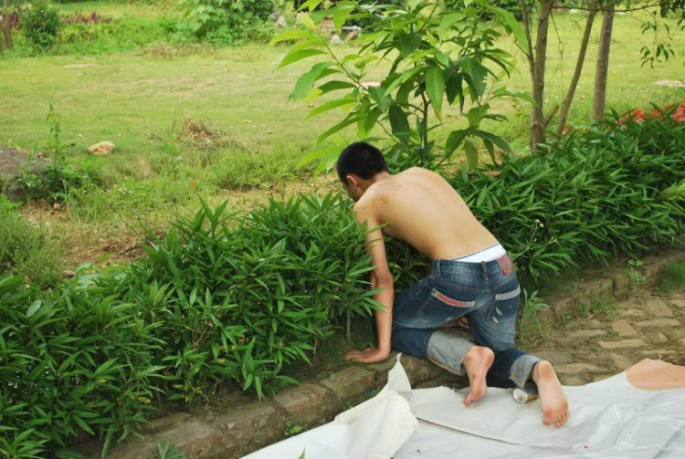 AE Thái Nguyên vào đây ghi danh họp mặt AE Thái Nguyên vào đây ghi danh họp mặt