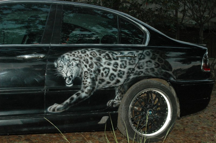 BMW Puma...