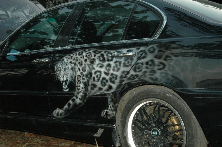 BMW Puma...