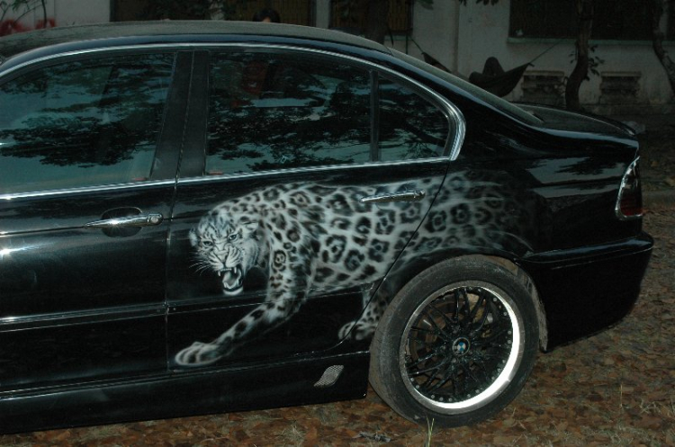 BMW Puma...