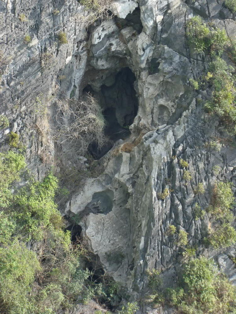 Góc nhìn OS miền Trung - OSMT's View