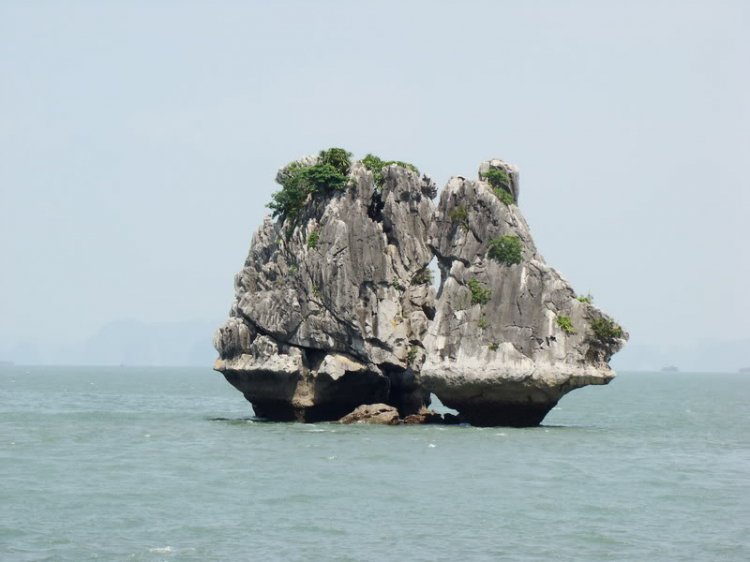 Góc nhìn OS miền Trung - OSMT's View