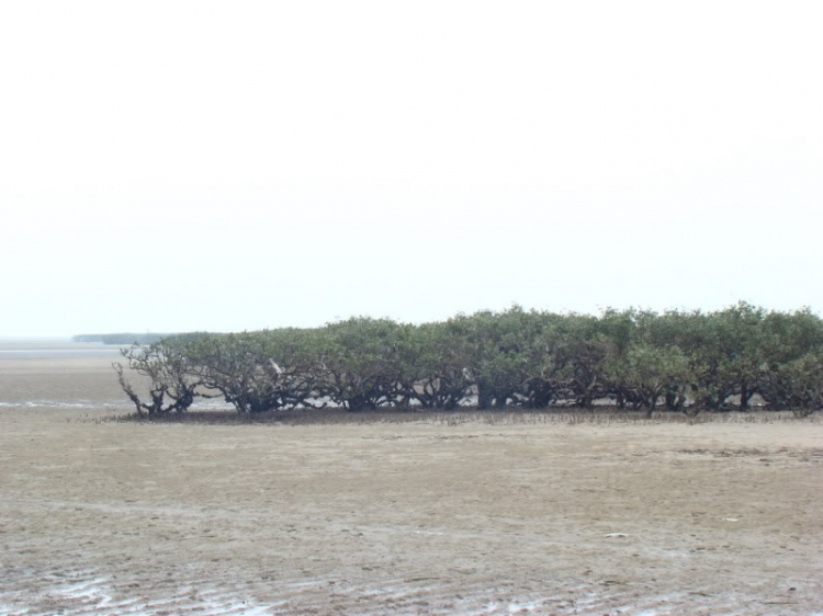 Góc nhìn OS miền Trung - OSMT's View