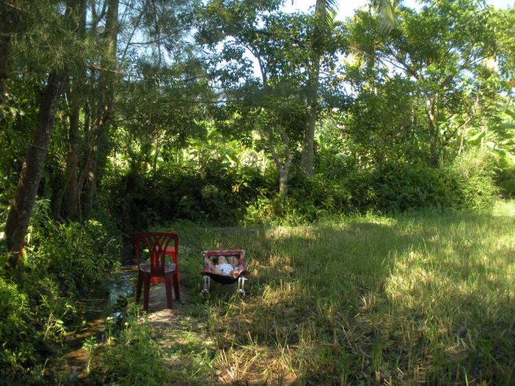 Góc nhìn OS miền Trung - OSMT's View