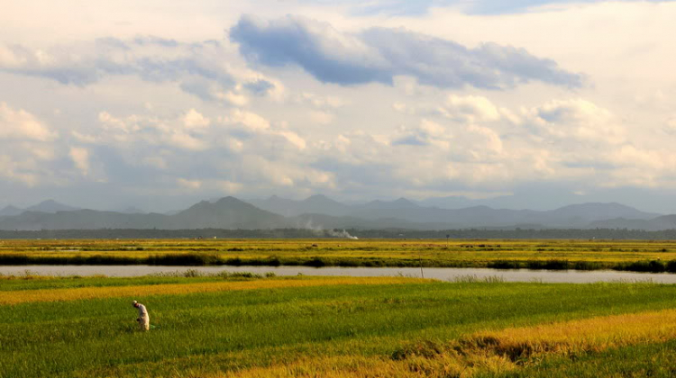 Em lại lang thang