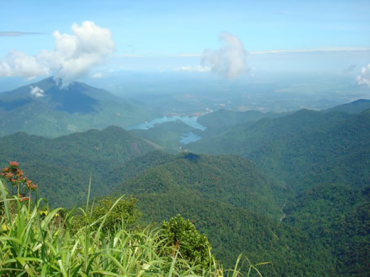 OS Huế (OS Cố Đô) OS Huế (OS Cố Đô)