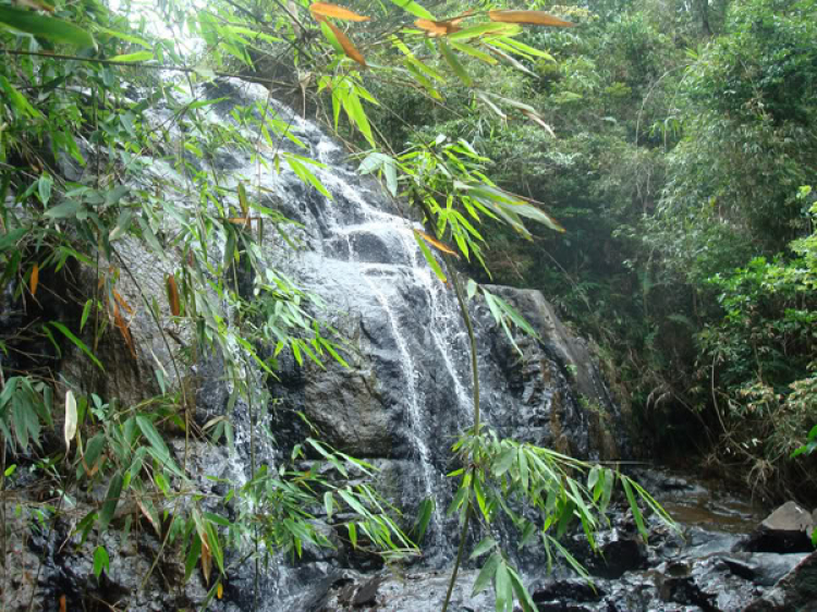 OS Huế (OS Cố Đô) OS Huế (OS Cố Đô)