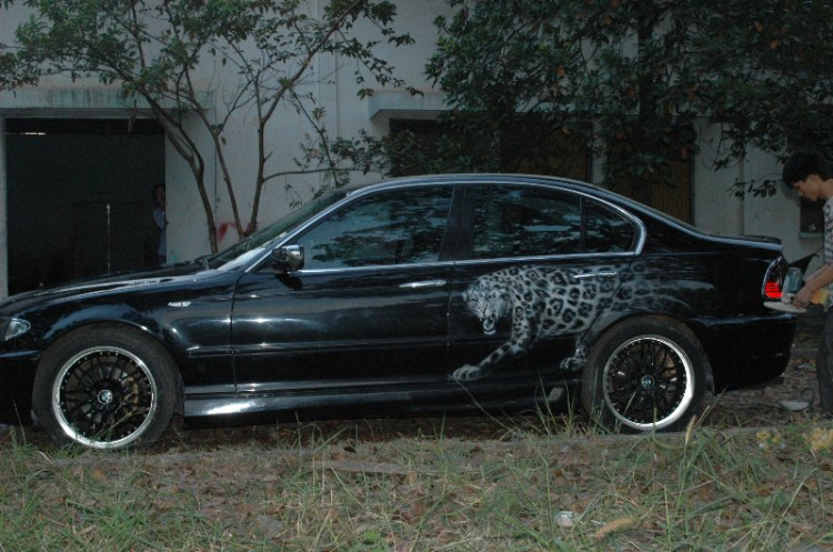 BMW Puma...