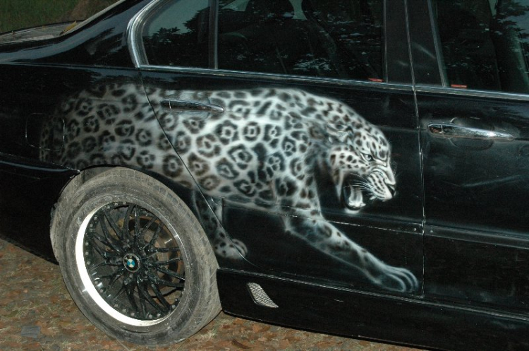 BMW Puma...