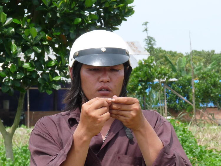 Sinh hoạt Offline Dã ngoại Câu Cá - Giao lưu của OSFC