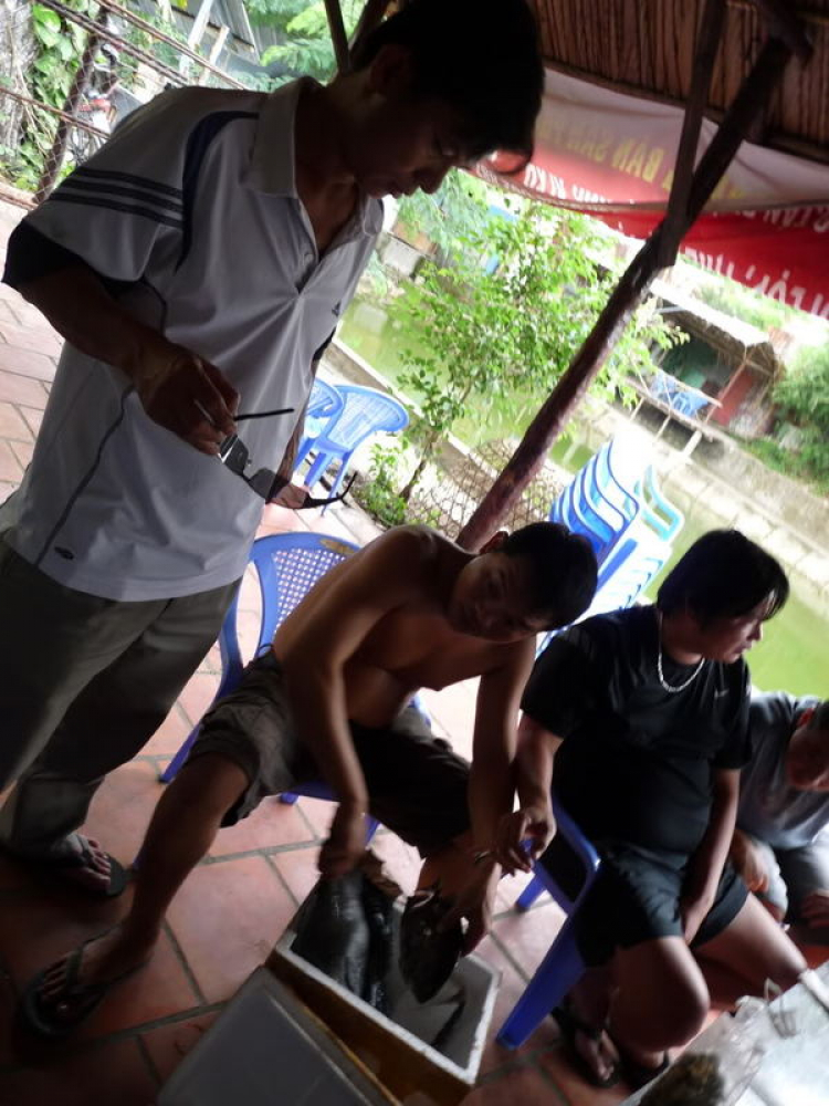Sinh hoạt Offline Dã ngoại Câu Cá - Giao lưu của OSFC